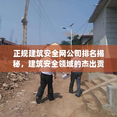 正規(guī)建筑安全網(wǎng)公司排名揭秘，建筑安全領(lǐng)域的杰出貢獻者