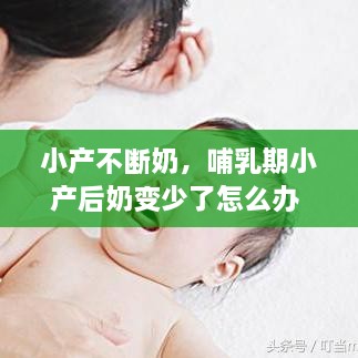束手就擒