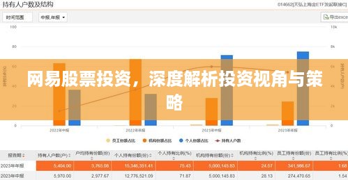 網(wǎng)易股票投資，深度解析投資視角與策略