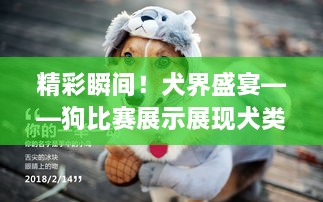 2025年4月