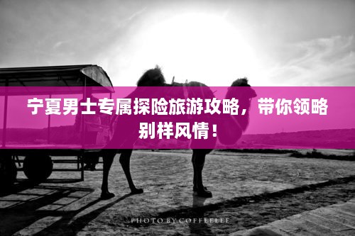 寧夏男士專屬探險旅游攻略，帶你領(lǐng)略別樣風情！