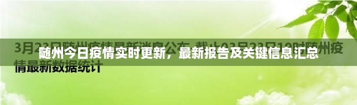 隨州今日疫情實時更新，最新報告及關(guān)鍵信息匯總