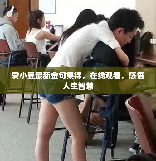 愛小豆最新金句集錦，在線觀看，感悟人生智慧