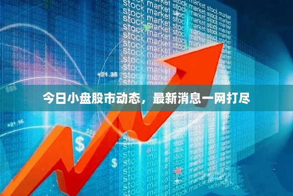 今日小盤股市動(dòng)態(tài)，最新消息一網(wǎng)打盡