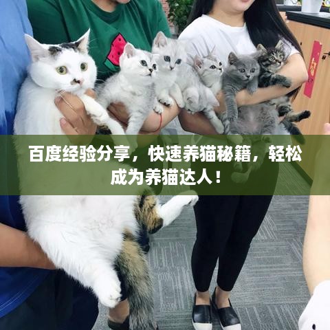 百度經(jīng)驗分享，快速養(yǎng)貓秘籍，輕松成為養(yǎng)貓達人！